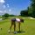 Jessica Korda Golf Swing Slow Motion